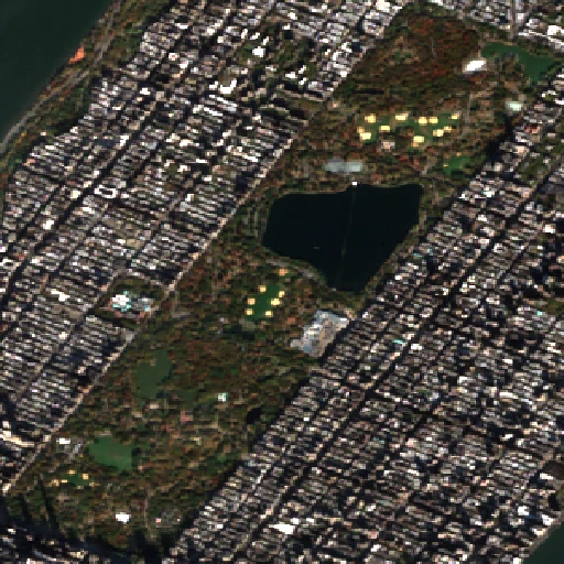 Satellite image of Central Park in autumn on 24 October 2024