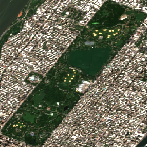 Satellite image of Central Park in summer on 15 July 2023